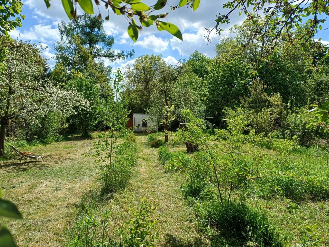 Działka rod Wrocław Krzyki, ul. Gazowa. Zdjęcie 4