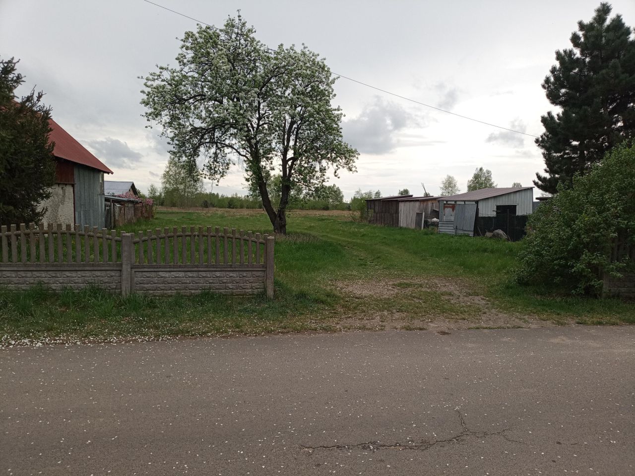 Działka rolno-budowlana Dobrzyń. Zdjęcie 2