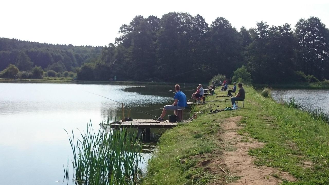 Działka rolna Bledzew Tymiana, ul. Tymiany. Zdjęcie 33