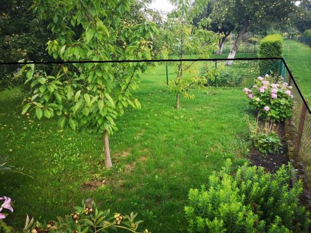 Działka rekreacyjna Elbląg, ul. Warszawska. Zdjęcie 1