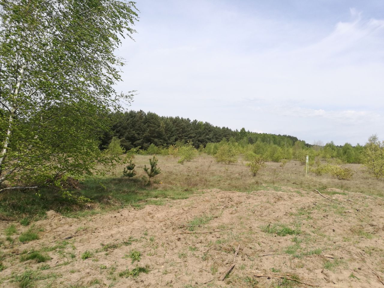 Działka budowlana Skórka. Zdjęcie 10