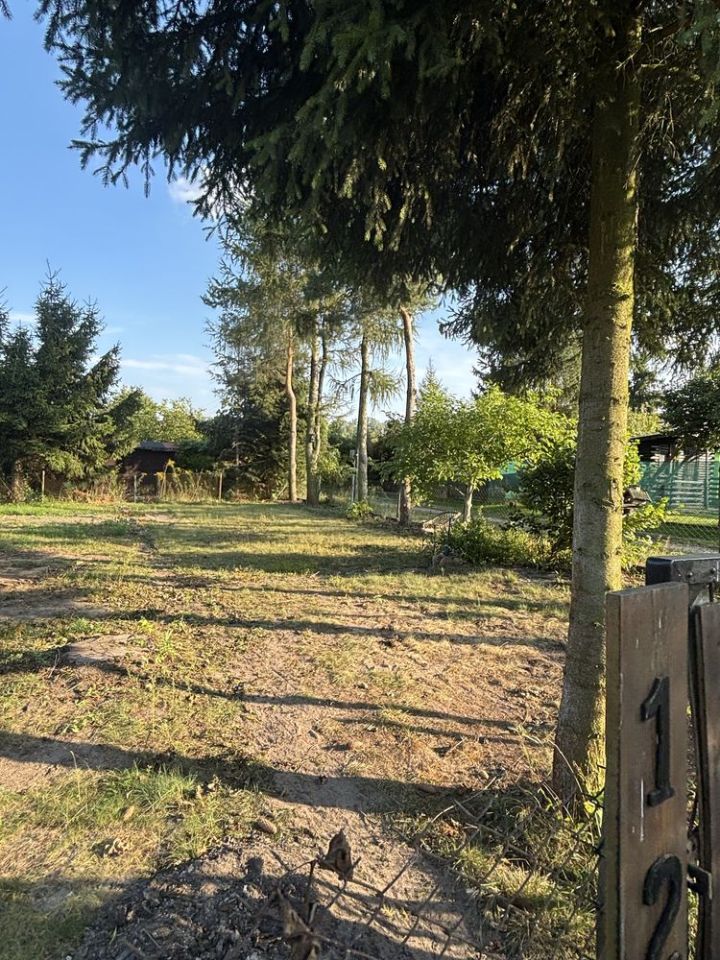 Działka rod Ciechanów. Zdjęcie 6