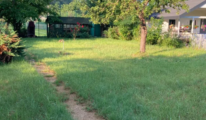 Działka rod Częstochowa Centrum, ul. Krakowska