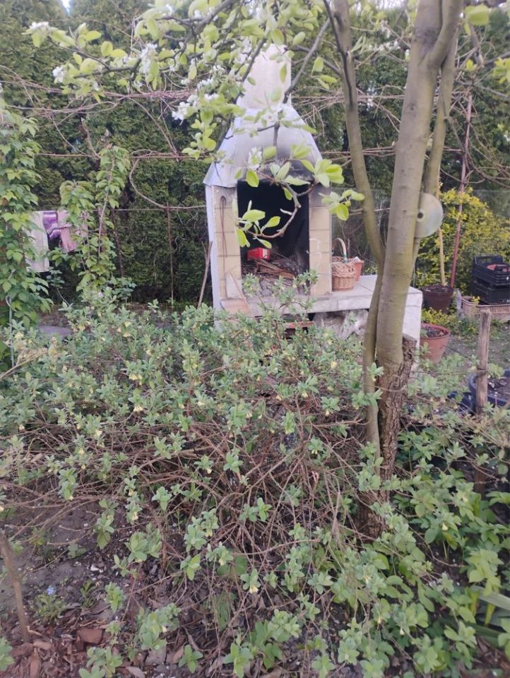 Działka rod Tarnobrzeg, ul. Kamionka. Zdjęcie 5