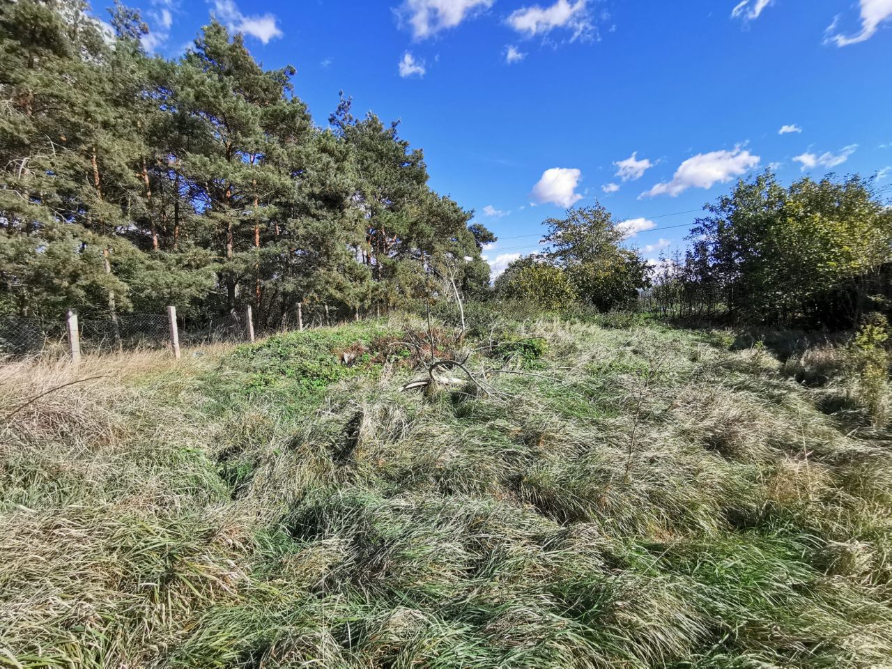 Działka budowlana Chociule. Zdjęcie 7