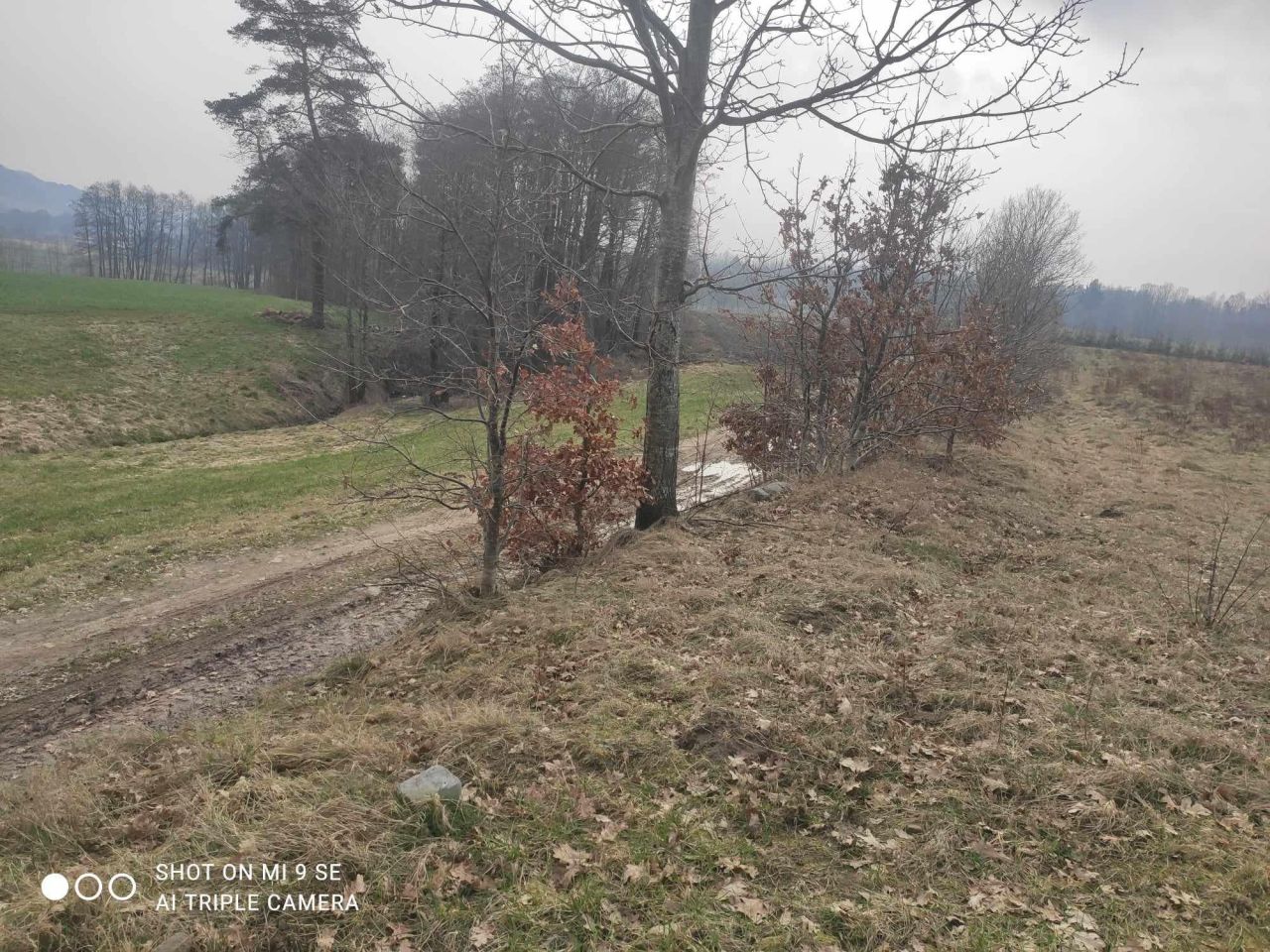 Działka rolno-budowlana Nowa Huta. Zdjęcie 2