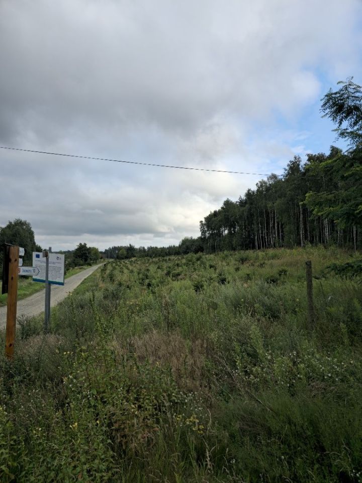 Działka budowlana Czernikowo. Zdjęcie 7