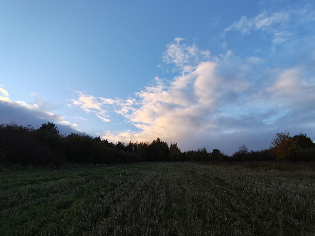 Działka rolno-budowlana Grudziądz, ul. Leszczynowa. Zdjęcie 4