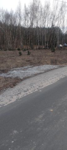 Działka rolno-budowlana Zgoda. Zdjęcie 2