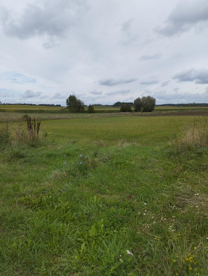 Działka rolno-budowlana Krupin. Zdjęcie 12