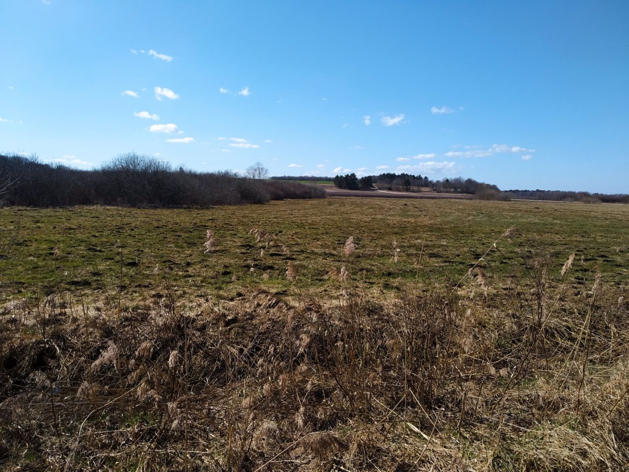 Działka rolna Mieroszyno, ul. Starowiejska. Zdjęcie 7