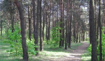 Działka budowlana Żarki-Letnisko, Kąpielowa