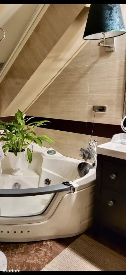 dom wolnostojący, 6 pokoi Płock Podolszyce, Boryszewo Nowe. Zdjęcie 18