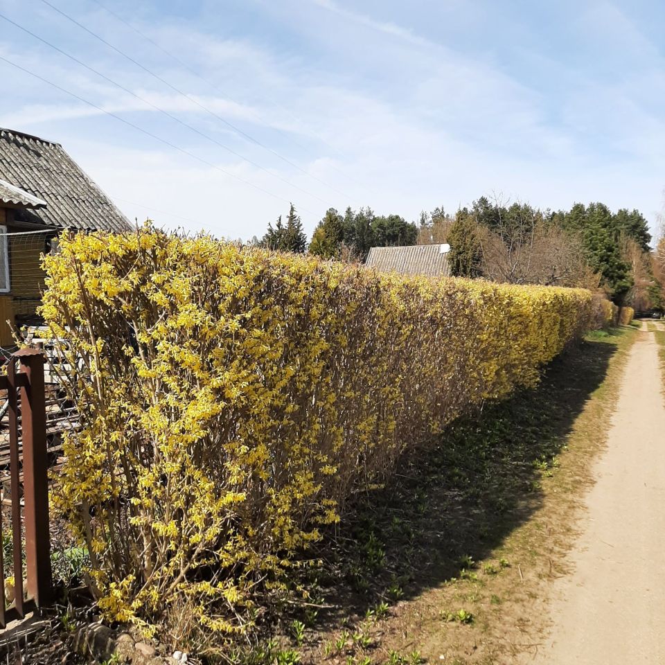 Działka rod Białystok Jaroszówka. Zdjęcie 8