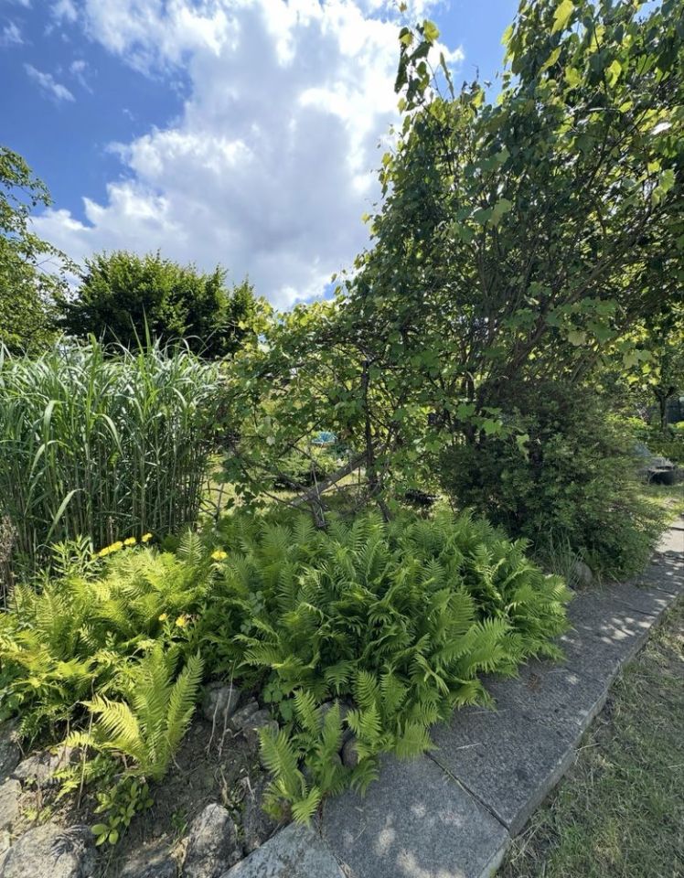 Działka rod Będzin Syberka. Zdjęcie 3