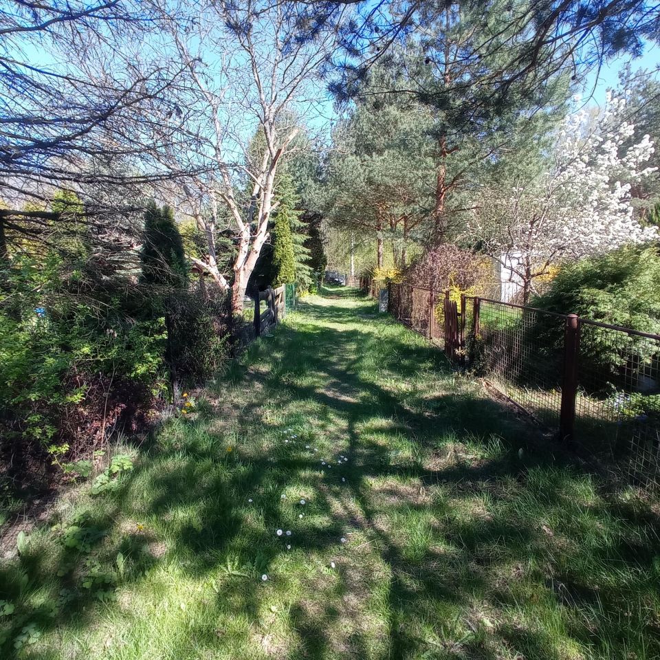 Działka rod Sosnowiec Kazimierz, ul. Limbowa. Zdjęcie 9