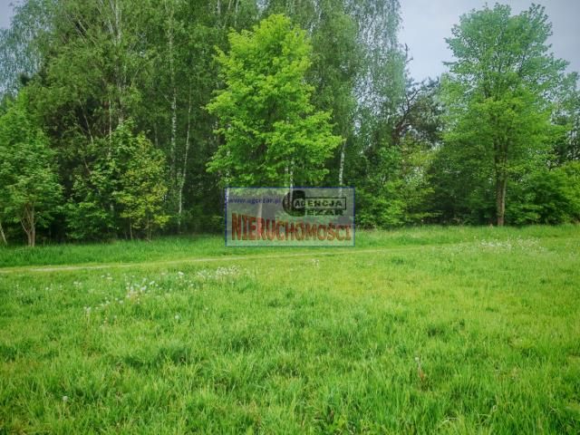 Działka rolno-budowlana Dłużew. Zdjęcie 2