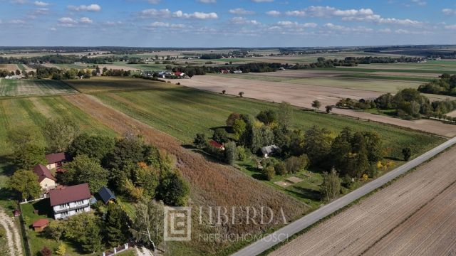 Działka budowlana Czerniejów-Kolonia. Zdjęcie 5