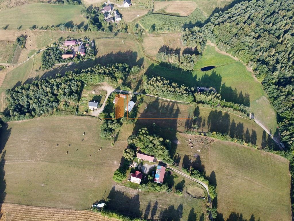 Działka rolna Miechucino Strysza Góra. Zdjęcie 15