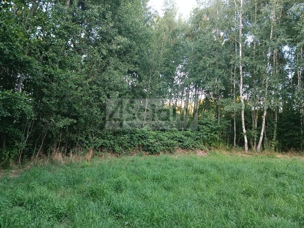 Działka budowlana Biernik. Zdjęcie 10