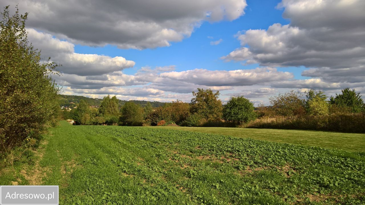 Działka budowlana Kobylany, ul. Widokowa. Zdjęcie 6