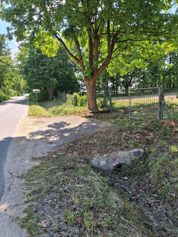 Działka budowlana Zaskocz. Zdjęcie 2