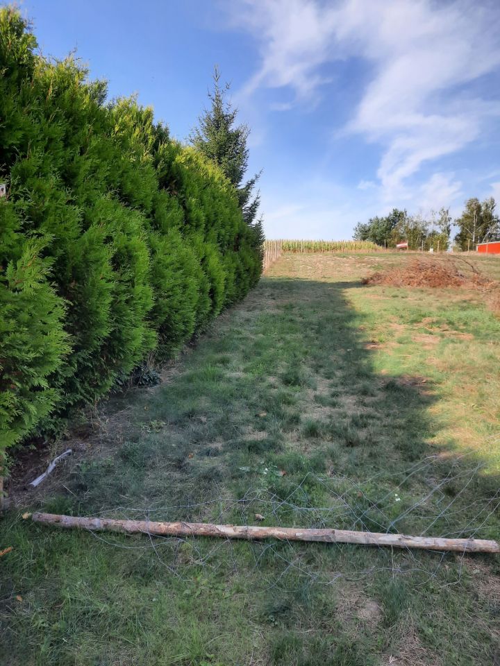 Działka budowlana Dąbrówka Nowa. Zdjęcie 3