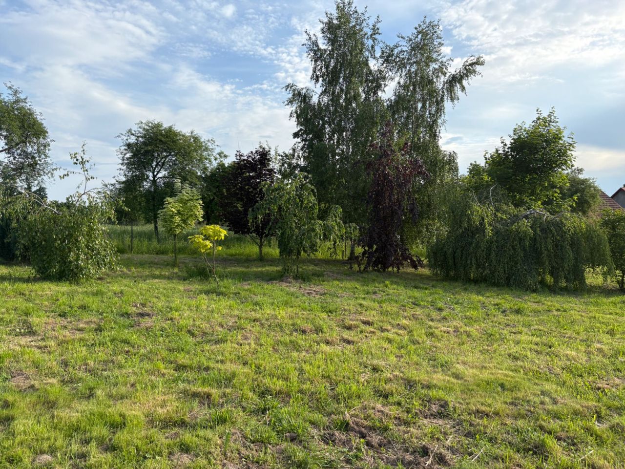 Działka rolno-budowlana Kwaczała