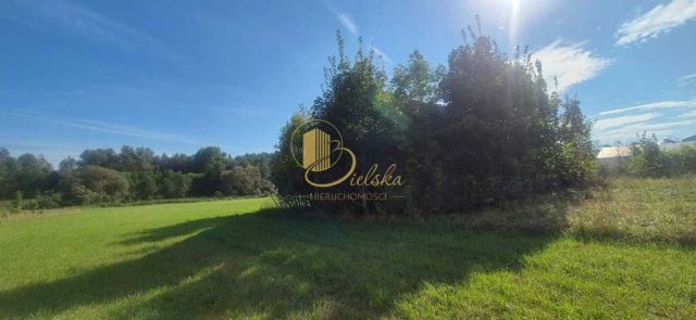 siedlisko, 3 pokoje Bierniki. Zdjęcie 7