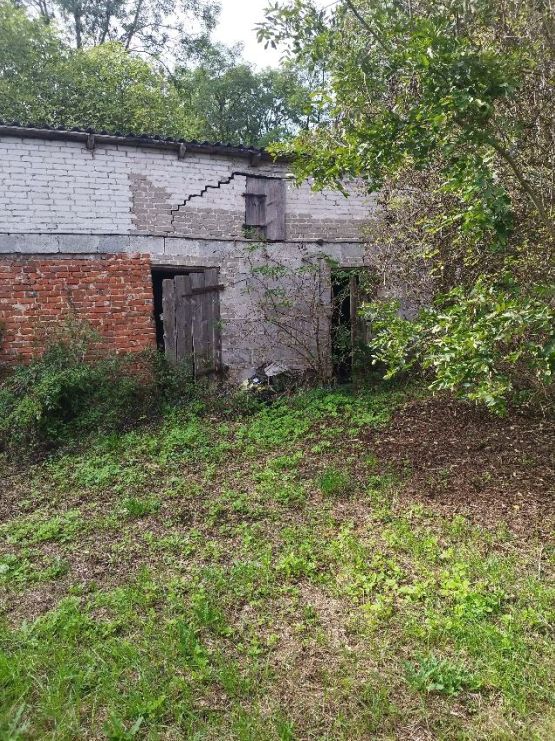 Działka rolno-budowlana Nowa Wieś. Zdjęcie 7