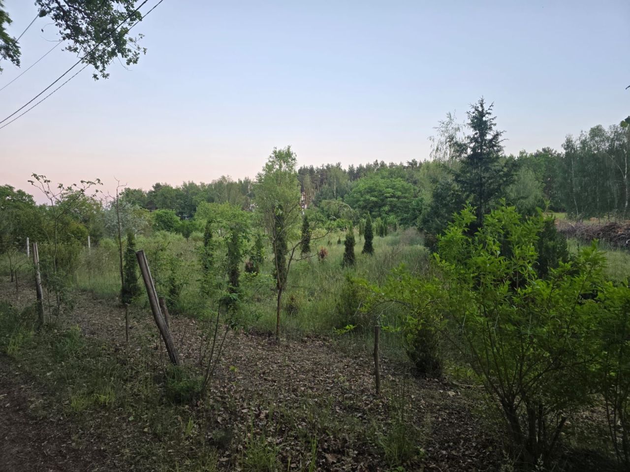 Działka siedliskowa Droszków. Zdjęcie 6