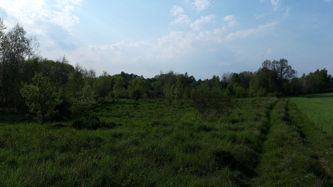 Działka inwestycyjna Liszkowo. Zdjęcie 2