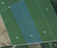 Działka rolno-budowlana Budziszów Wielki. Zdjęcie 3