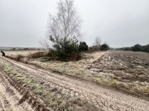 Działka budowlana Ciecierówka. Zdjęcie 2