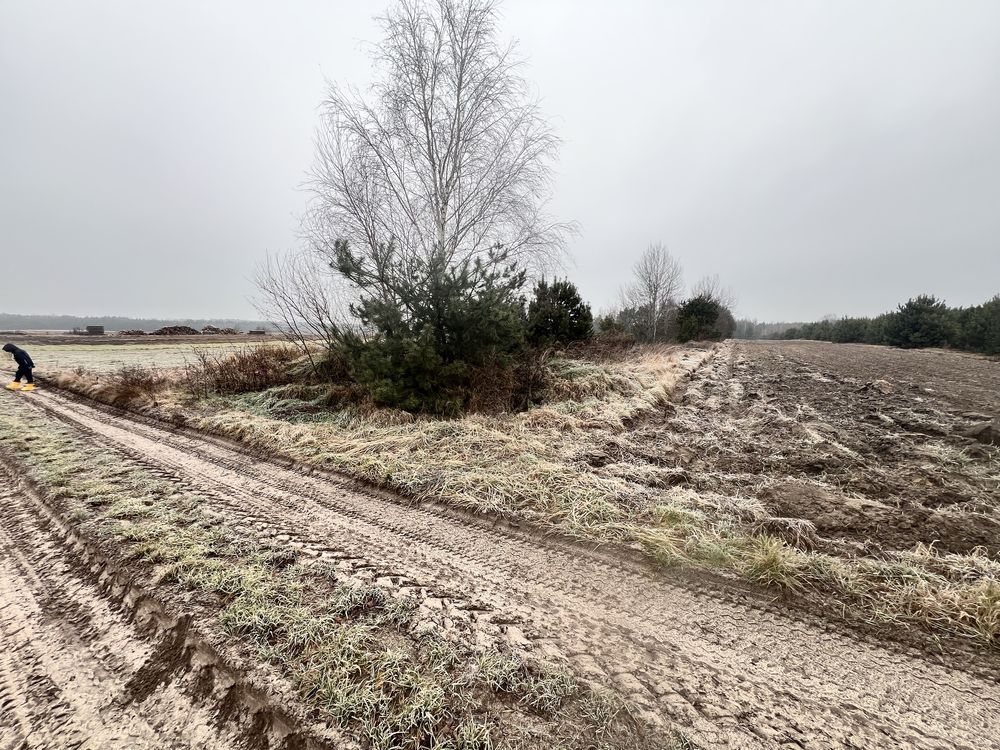 Działka budowlana Ciecierówka. Zdjęcie 3