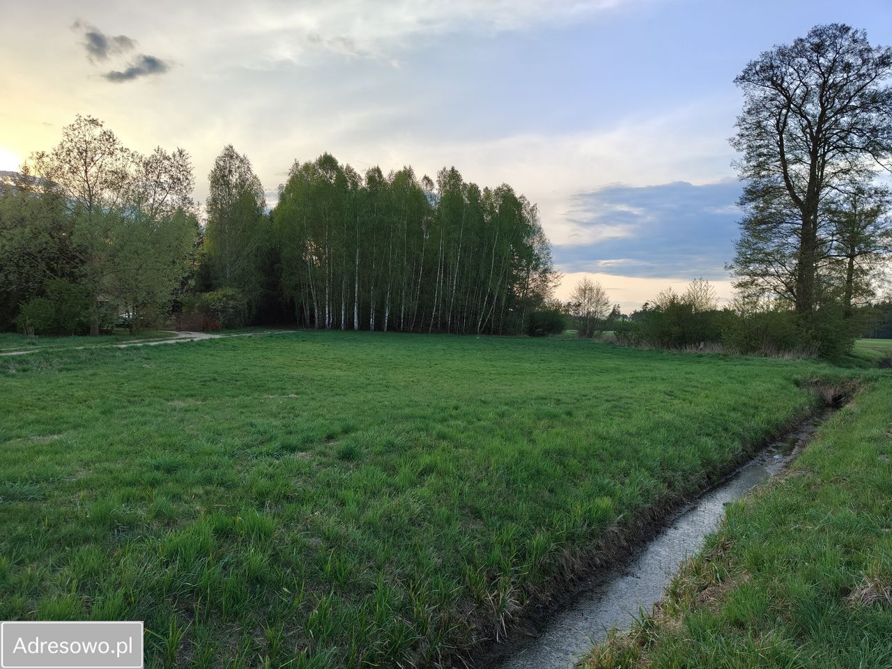 Działka rolno-budowlana Nagoszewka Pierwsza. Zdjęcie 6