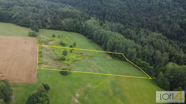 Działka budowlana Paleśnica. Zdjęcie 15