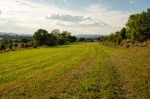 Działka budowlana Radomierz. Zdjęcie 4