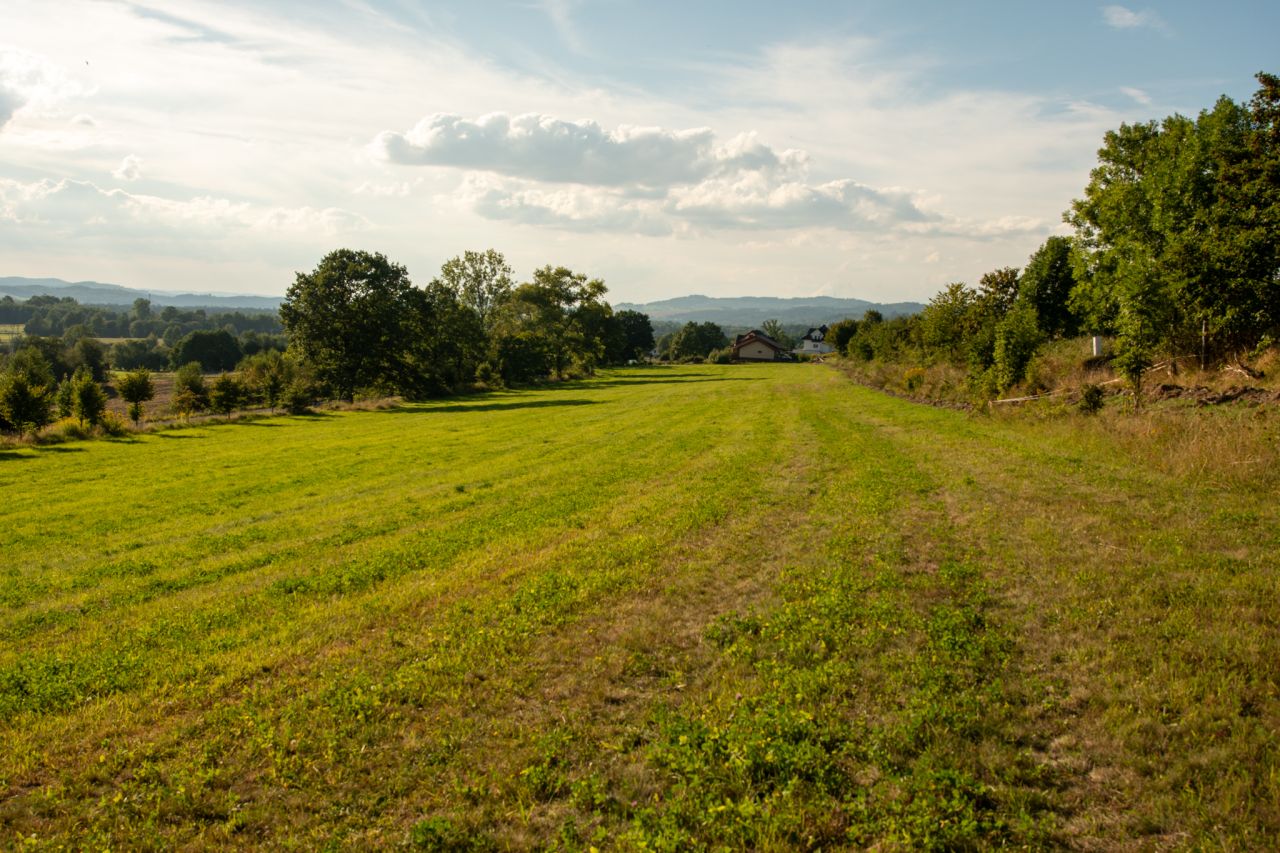 Działka budowlana Radomierz. Zdjęcie 5