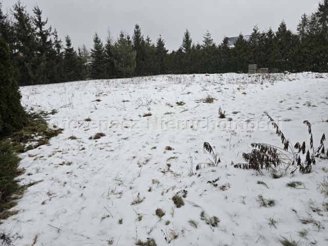 Działka Niemcz. Zdjęcie 2