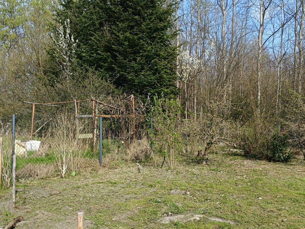 Działka rod Ostrowiec Świętokrzyski, os. Pułanki. Zdjęcie 7