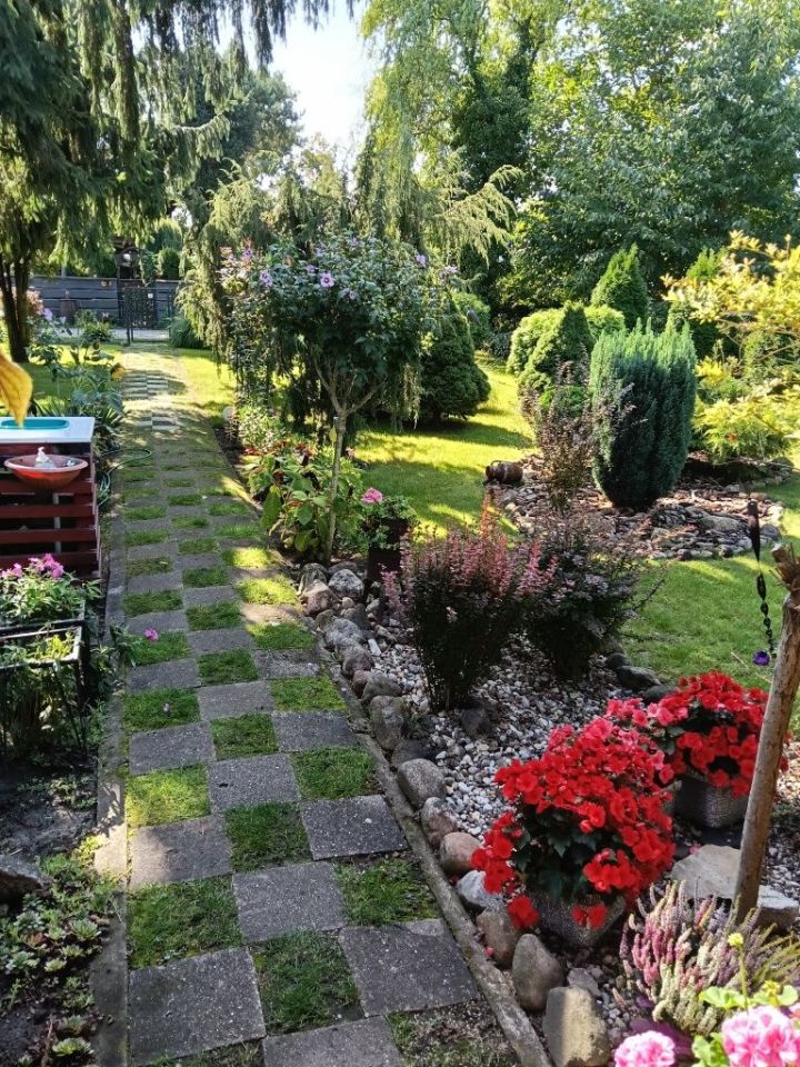 Działka rod Poznań Wilda, ul. Droga Dębińska. Zdjęcie 2