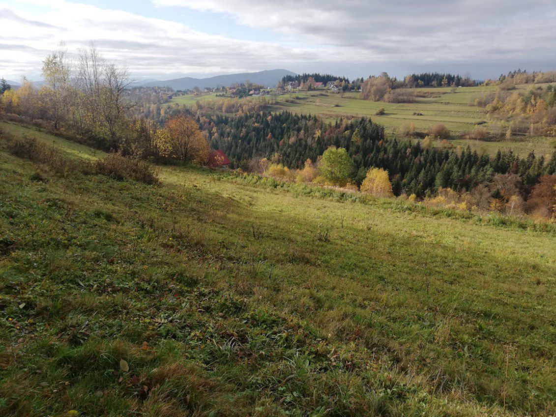 Działka budowlana Pcim. Zdjęcie 3