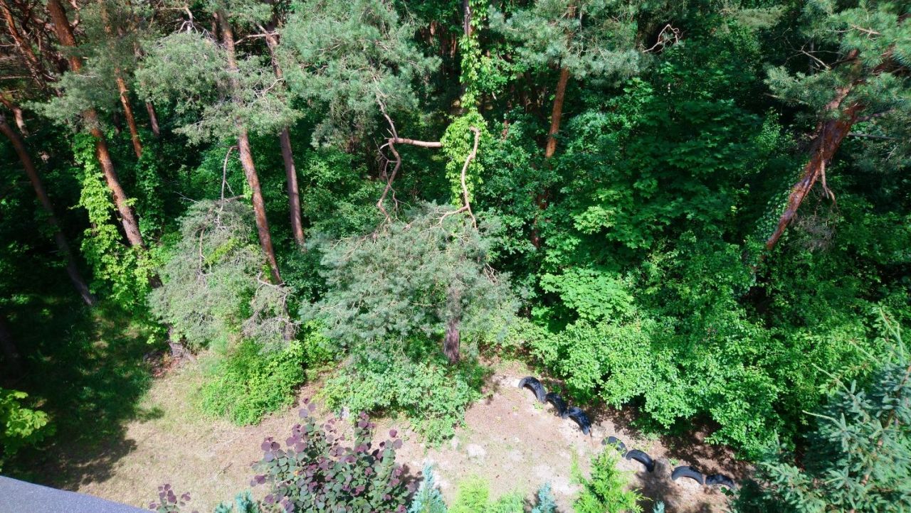 dom wolnostojący, 16 pokoi Łazy. Zdjęcie 6