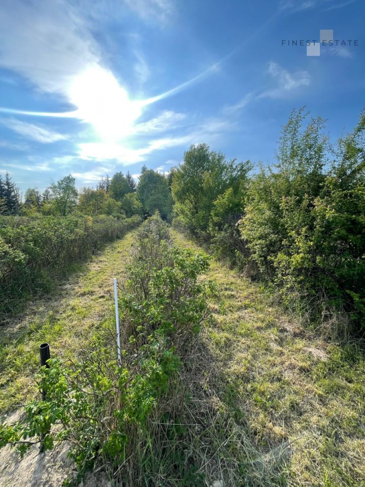 Działka budowlana Podkampinos, ul. Jagodowa. Zdjęcie 5