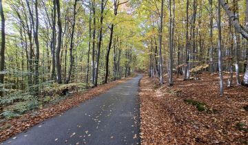 Działka rolna Wojakowa