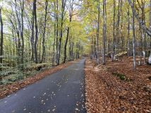 Działka rolna Wojakowa. Zdjęcie 1