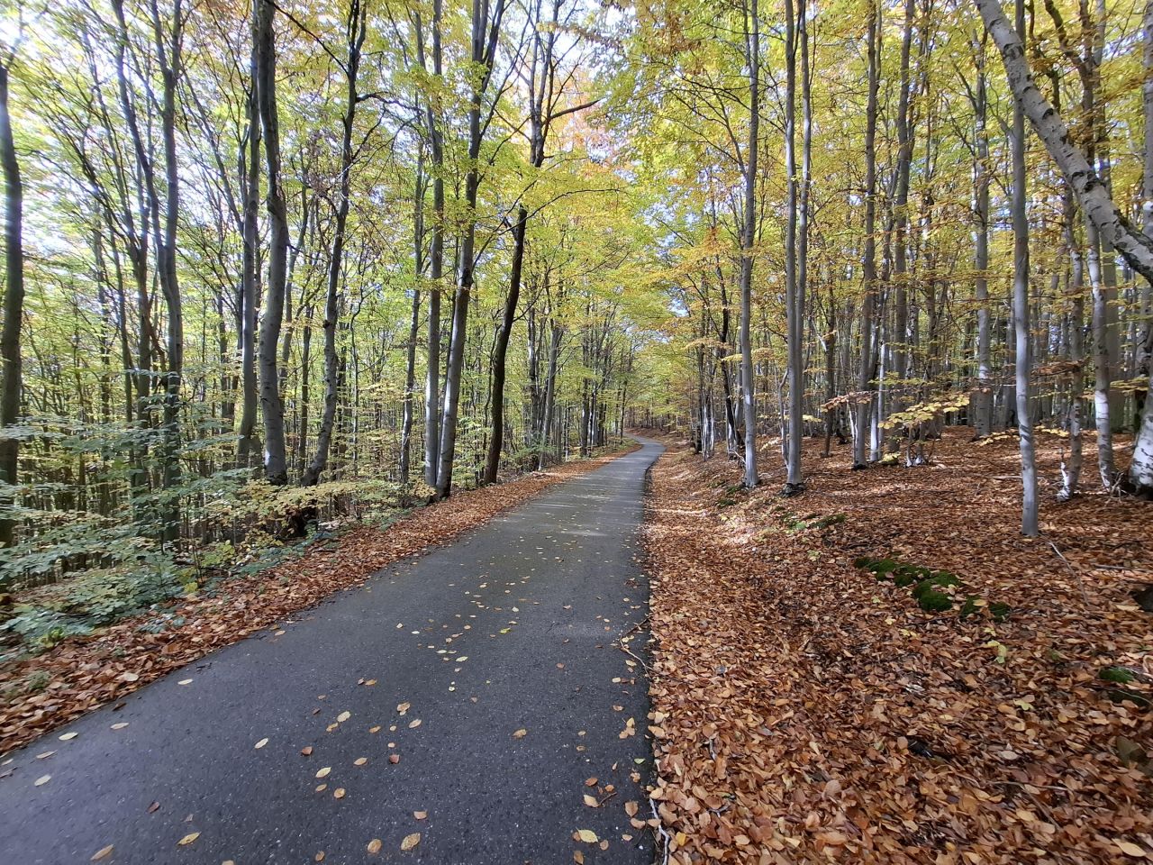 Działka rolna Wojakowa. Zdjęcie 2