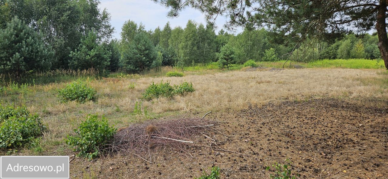 Działka rolno-budowlana Topór. Zdjęcie 3