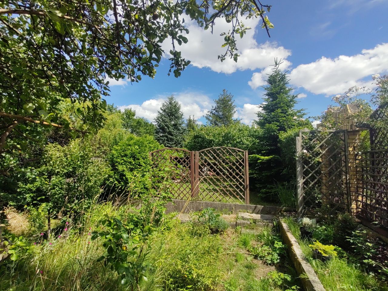 Działka rod Gdańsk Jasień, ul. Stolema. Zdjęcie 6